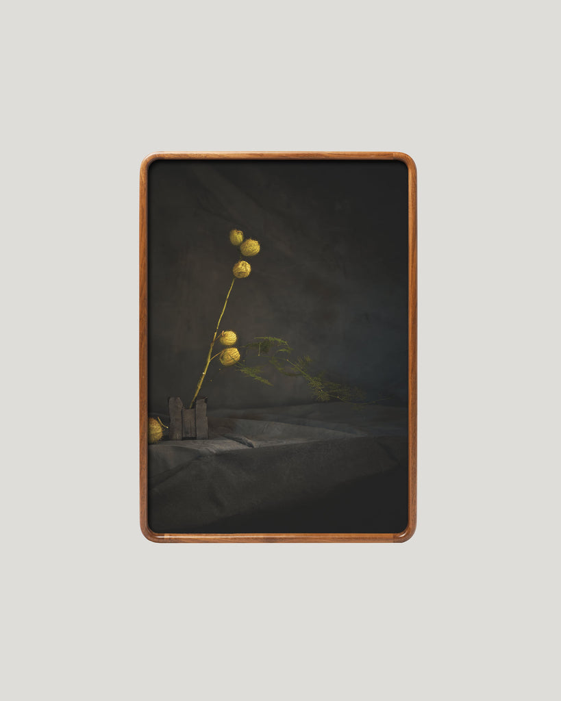 Ikebana Still Life I