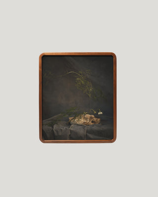 Ikebana Still Life VIII