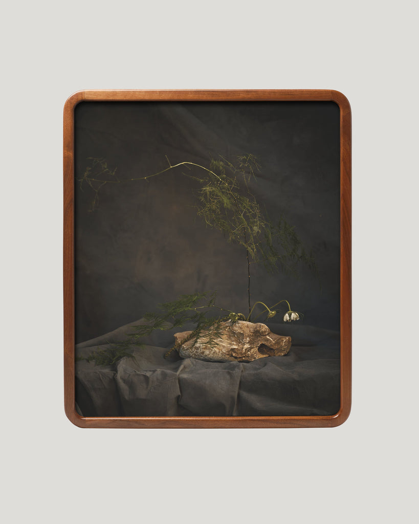 Ikebana Still Life VIII