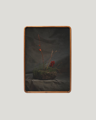 Ikebana Still Life III