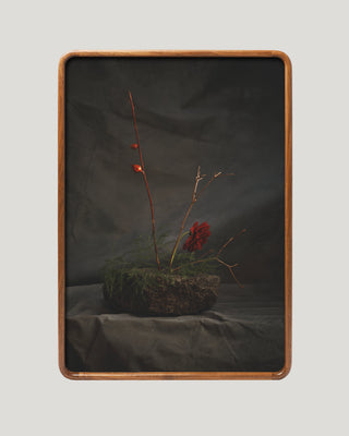 Ikebana Still Life I