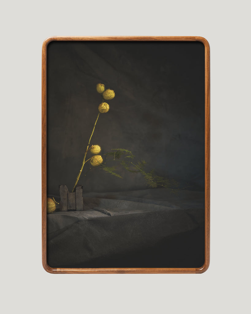 Ikebana Still Life I