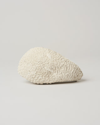 Fossil Sculpture