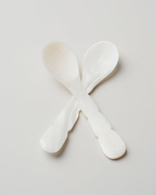 Curved Seashell Spoon