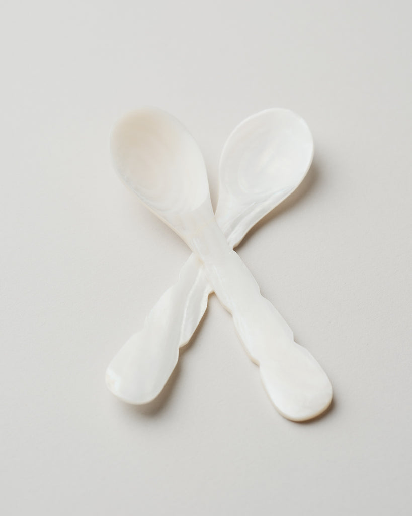 Curved Seashell Spoon