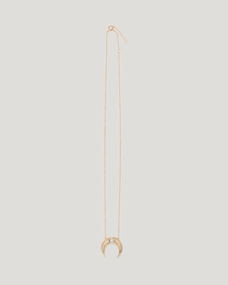 Laboradorite Large Horn Necklace