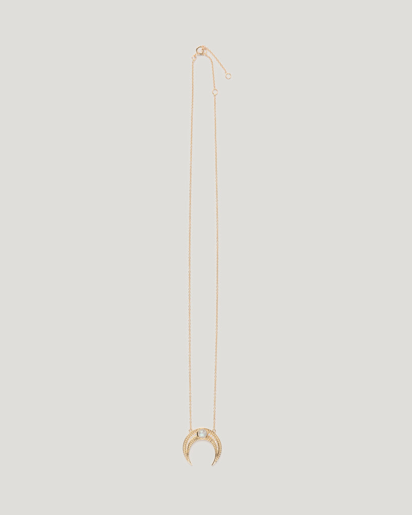 Laboradorite Large Horn Necklace