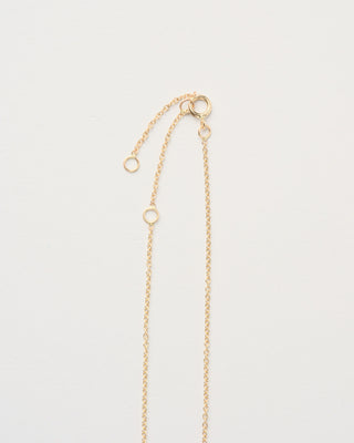 Laboradorite Large Horn Necklace
