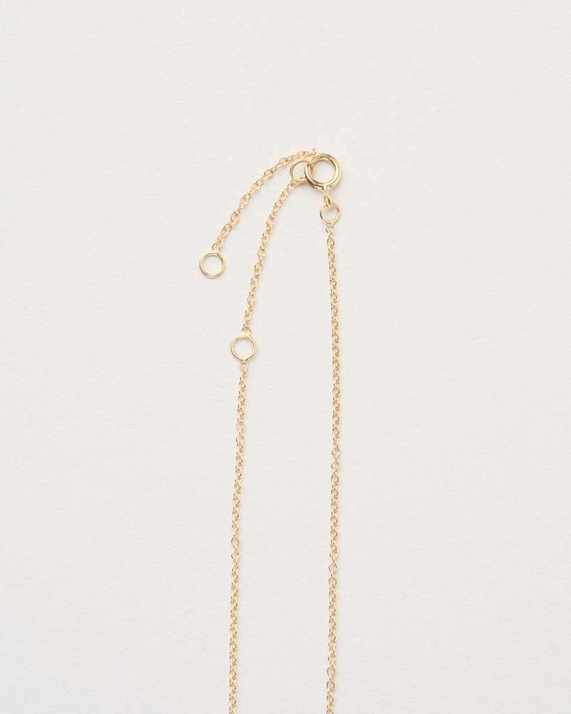 Laboradorite Large Horn Necklace
