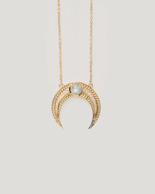 Laboradorite Large Horn Necklace