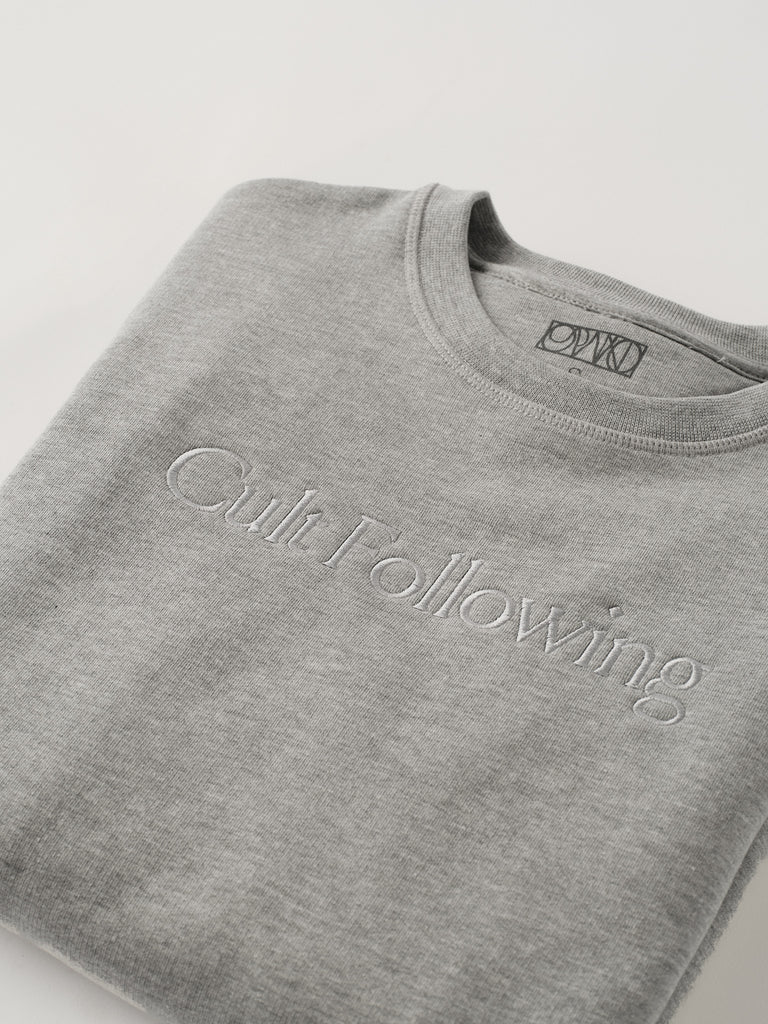 Gray sweatshirt with 'Cult Following' text on a light gray background