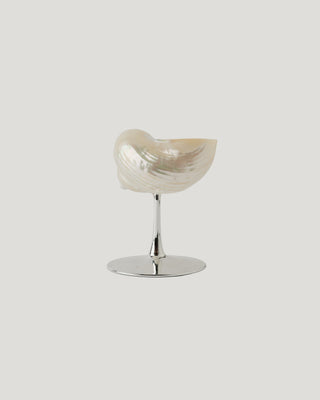 Natural shell vintage wine goblet