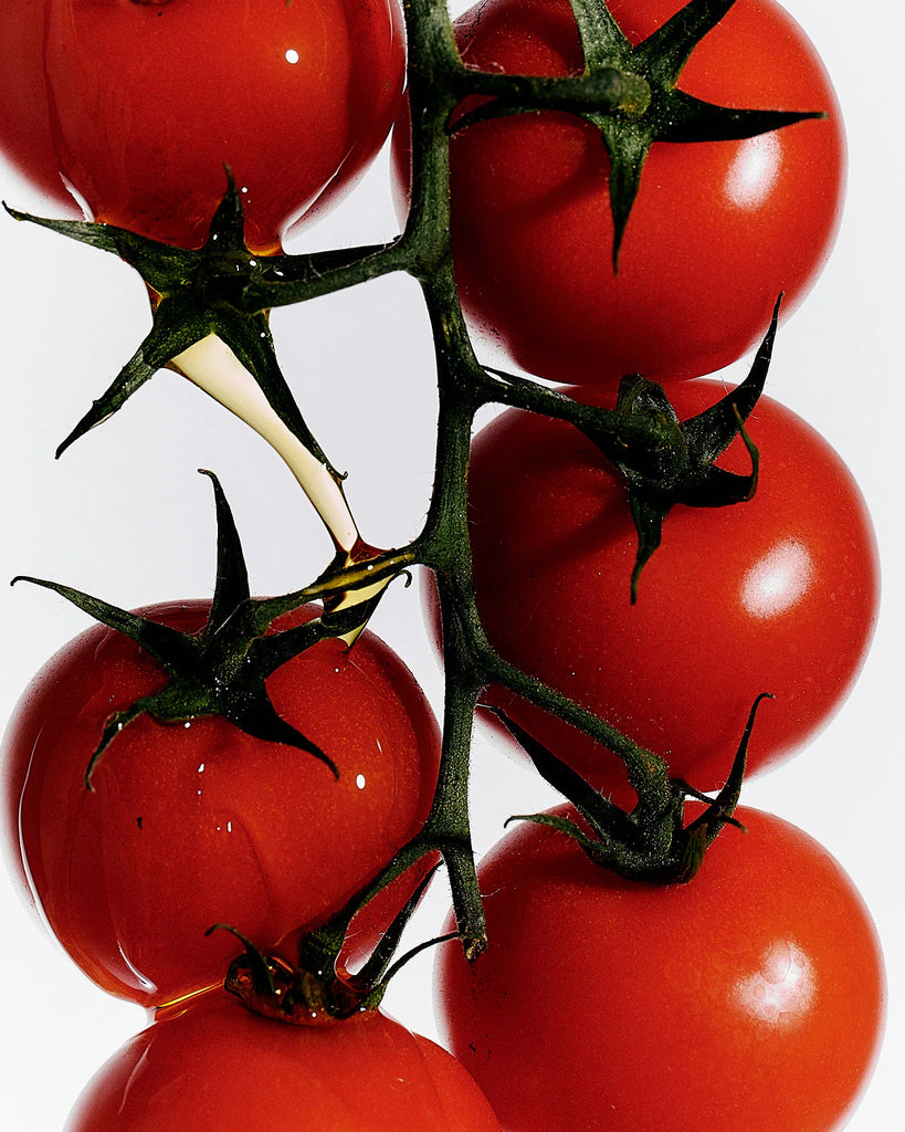 Roma Heirloom Tomato Dish Soap with tomato leaf scent