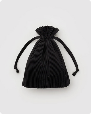 Pleated Bag
