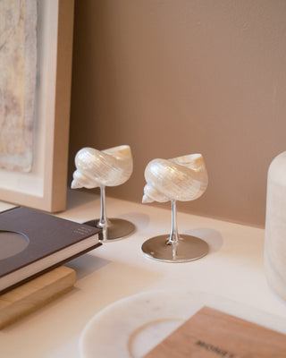 Vintage seashell glass for bar or tabletop