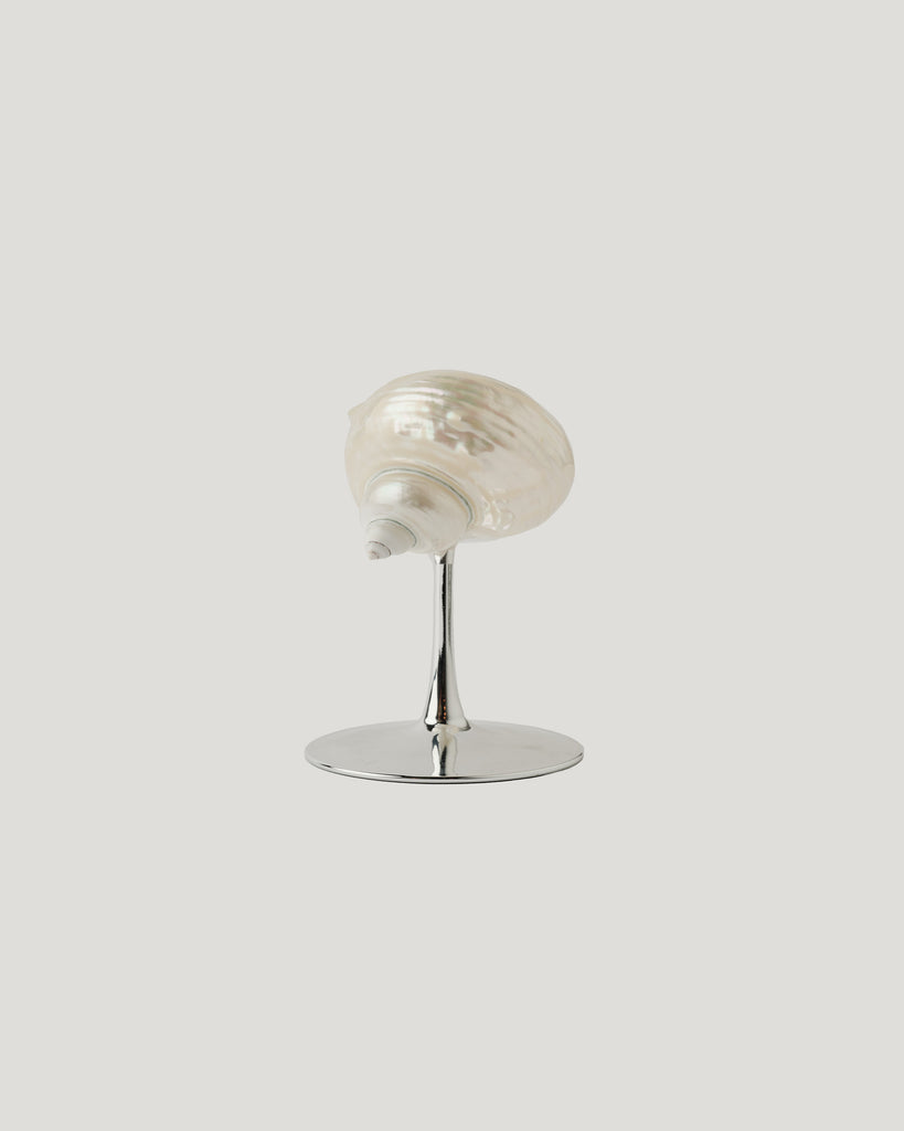 Vintage shell goblet with silver-toned base