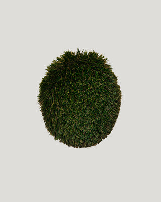 Touch Grass, 2025