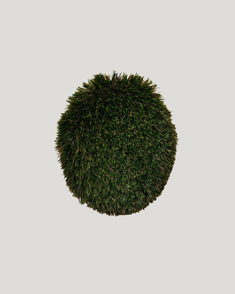 Touch Grass, 2025