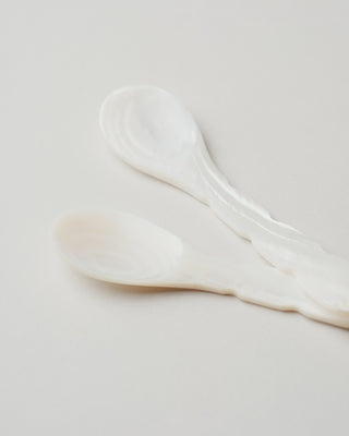 Curved Seashell Spoon