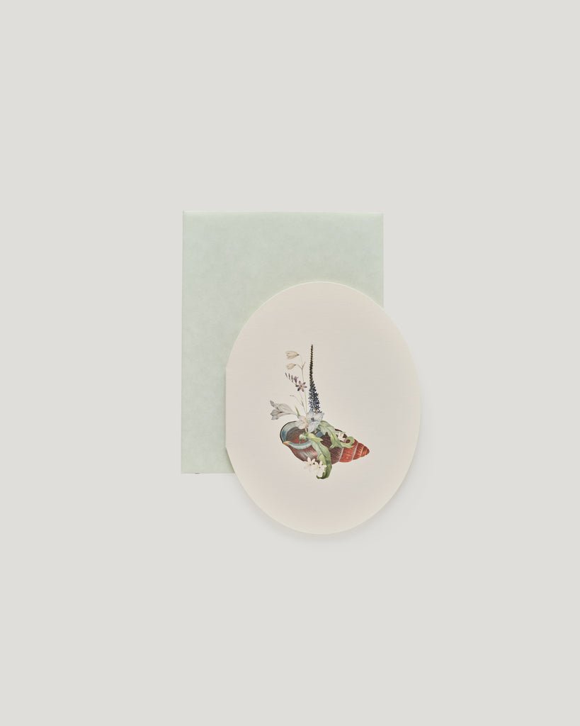 Shell Kingdom 1 Card