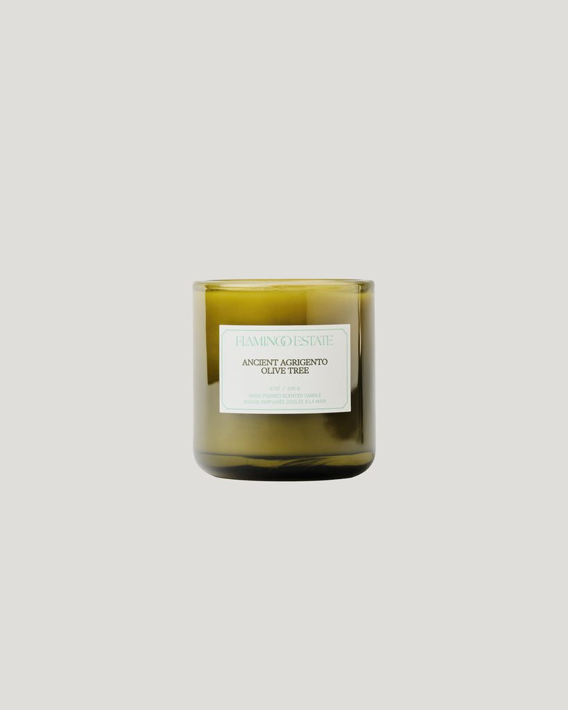 Ancient Agrigento Olive Tree Candle