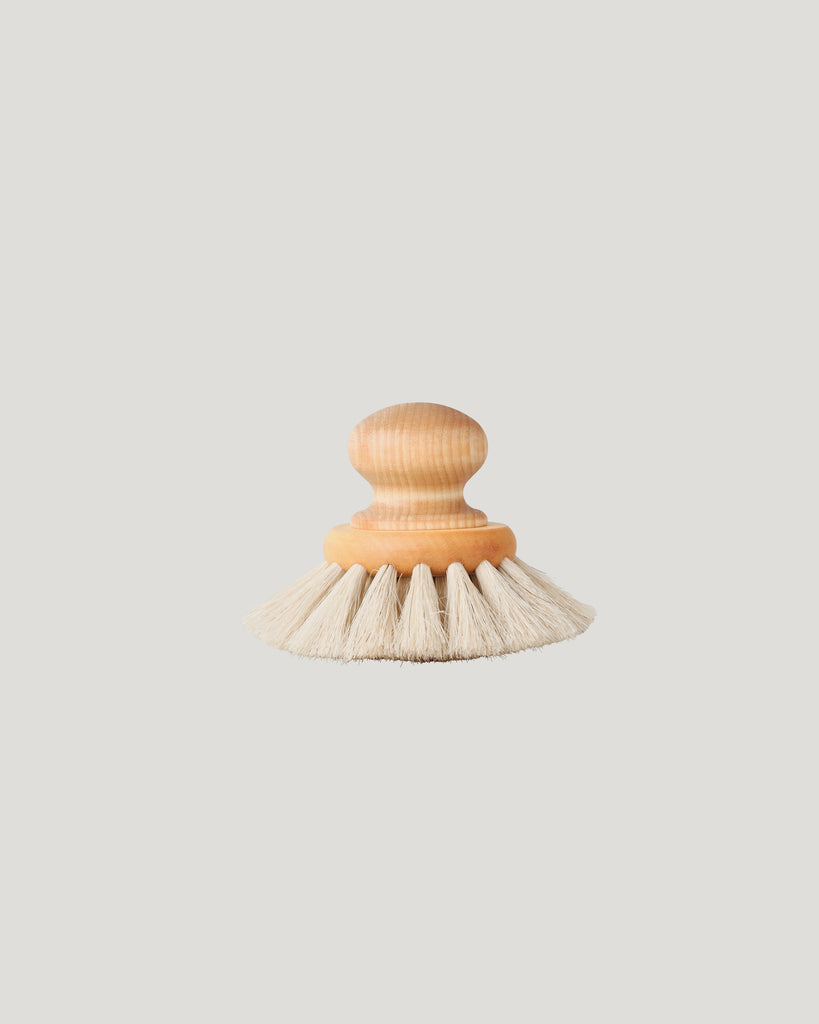 Dish Brush
