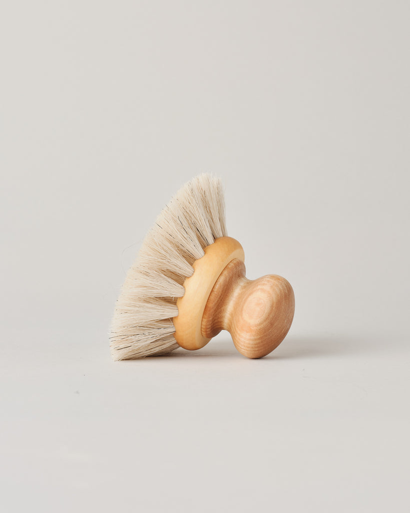 Dish Brush