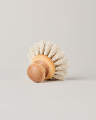 Dish Brush