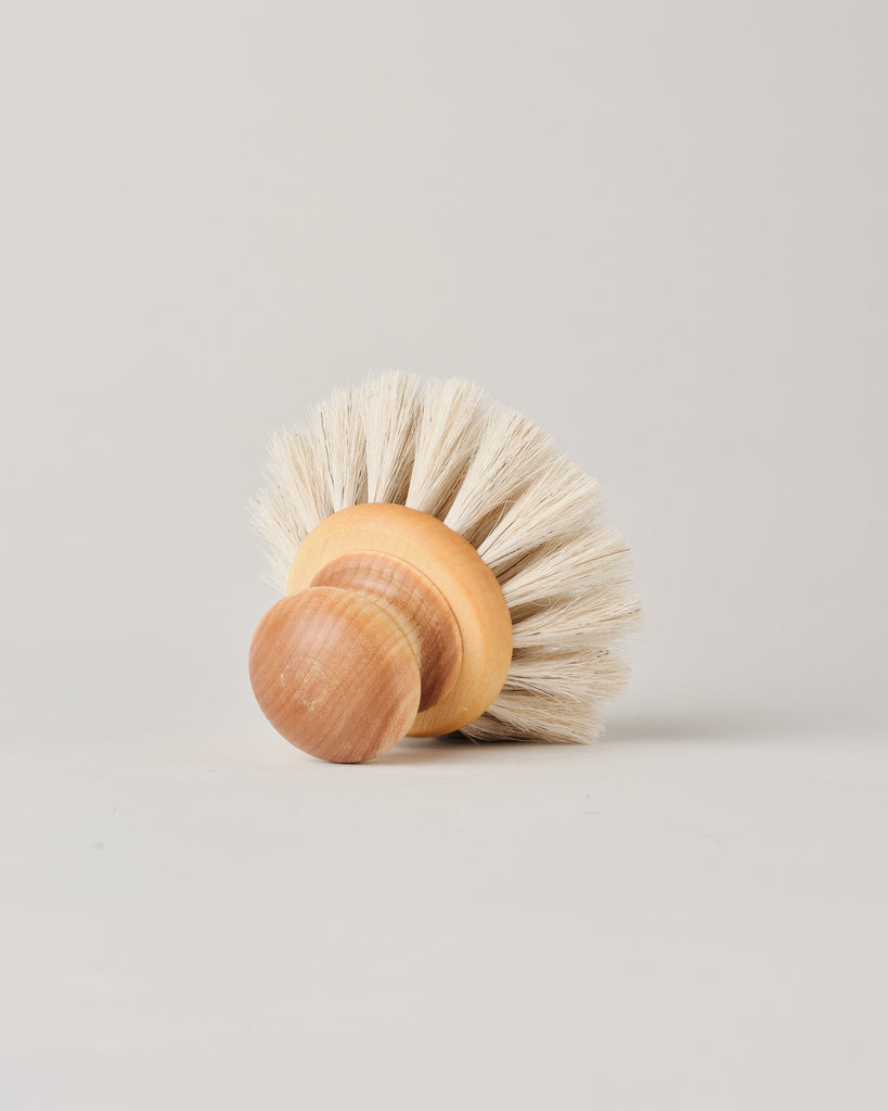 Dish Brush