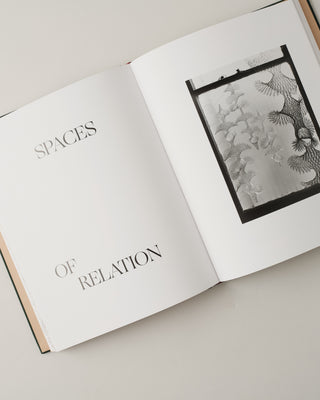 All Is Possible By Ruth Asawa