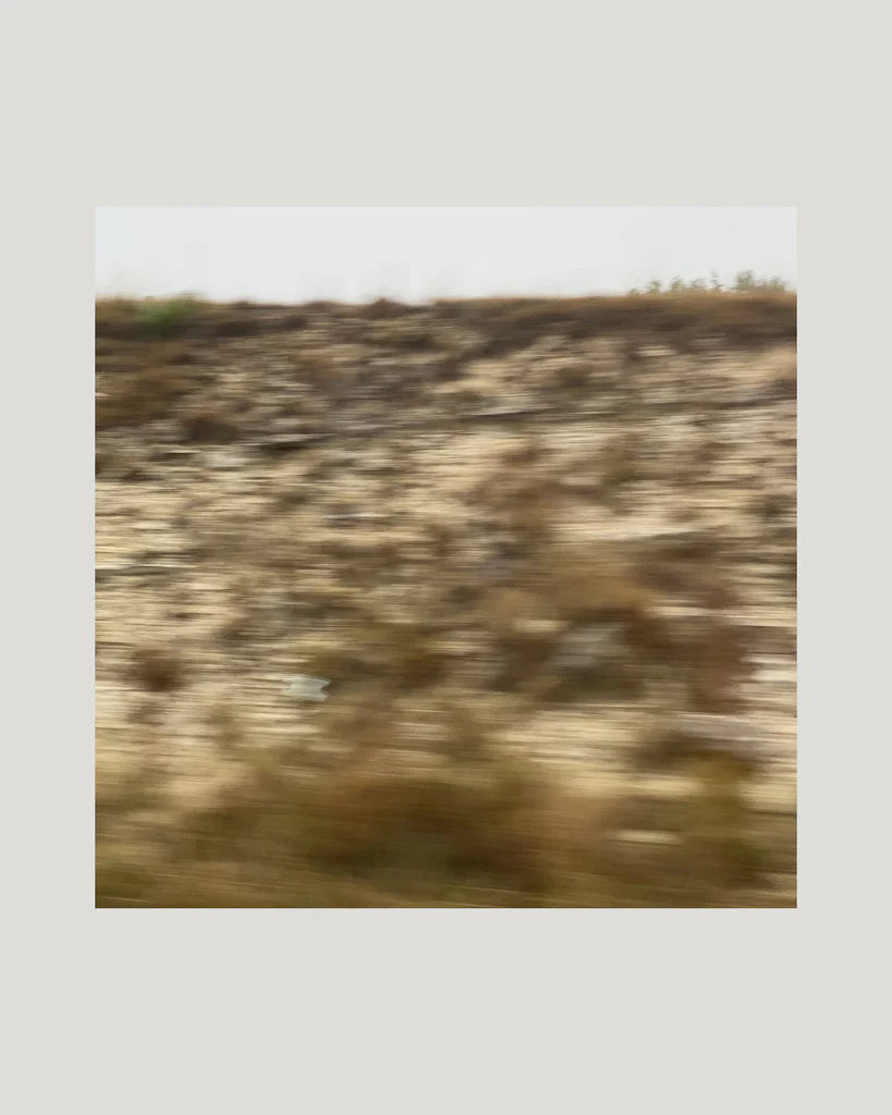 WANDER III