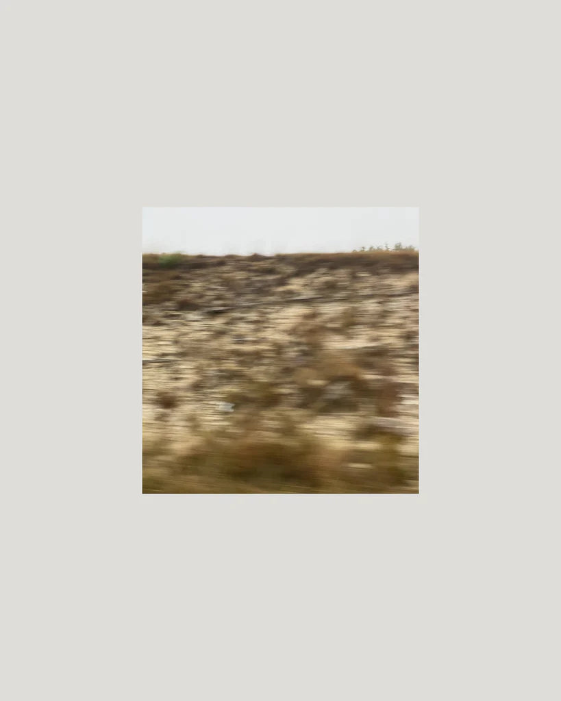 WANDER III